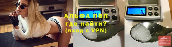 гидра Абаза
