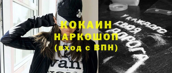 гидра Абаза
