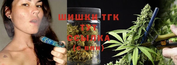 гидра Абаза