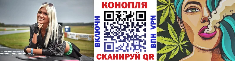 Конопля White Widow  мега ссылки  Ленинградская 